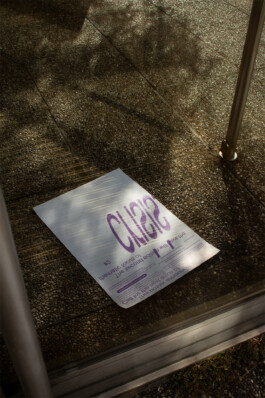 David Gallo, Graphic Design