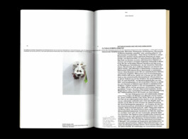 David Gallo, Graphic Design