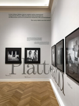 David Gallo, Graphic Design