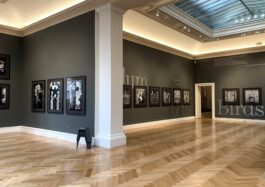 David Gallo, Graphic Design